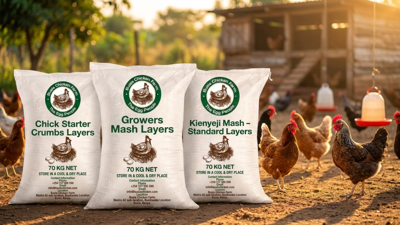 Our Premium Products